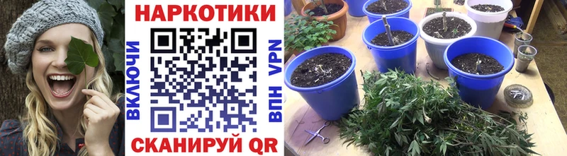 Купить Тара ГАШ A PVP Кокаин Галлюциногенные грибы АМФЕТАМИН Марихуана mega МЕФ